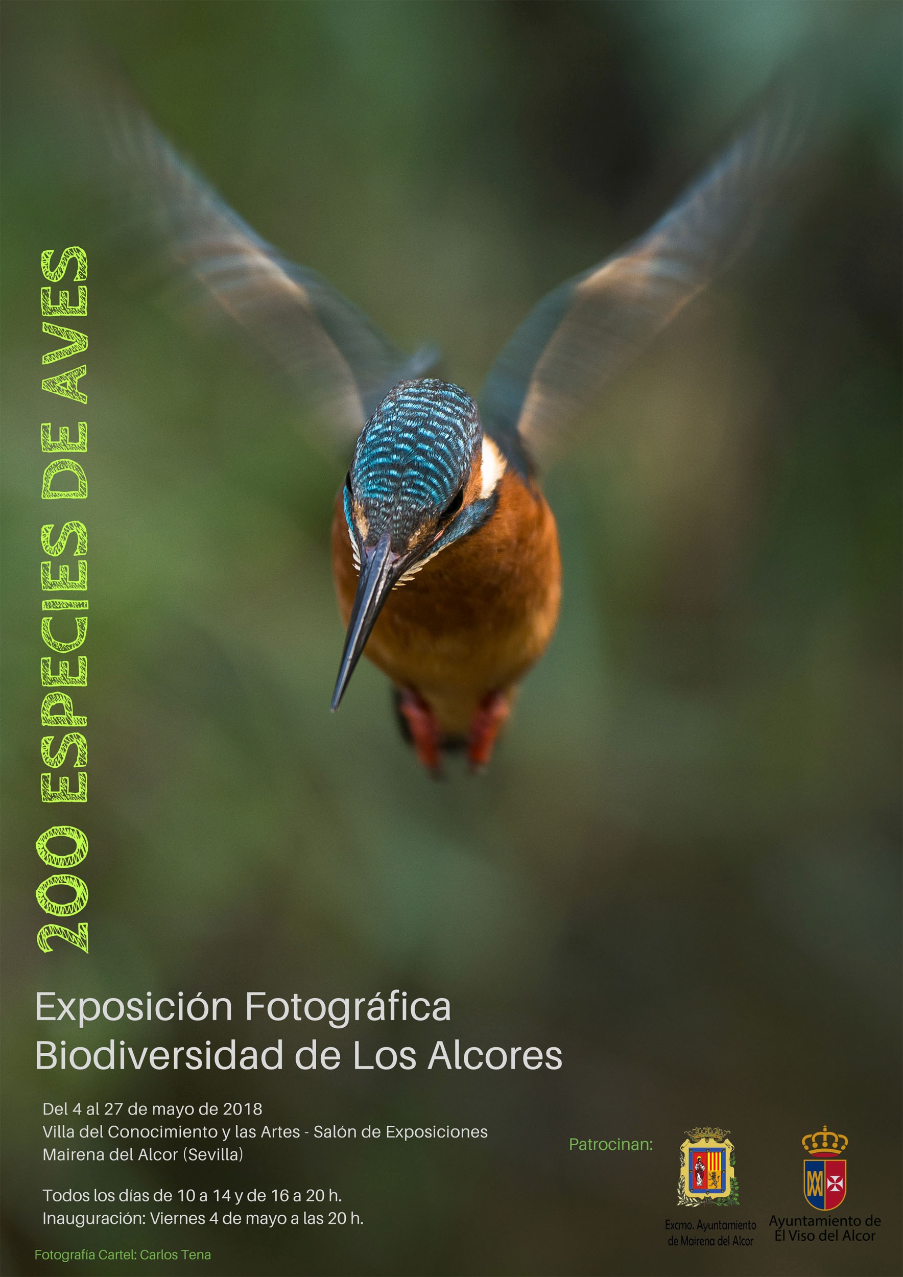Cartel Exposicio¿n Fotogra¿fica Biodiversidad de Los Alcores WEB