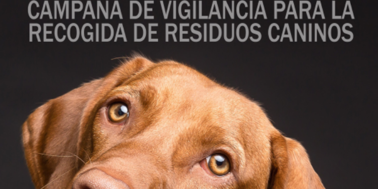 Campaña de control y vigilancia para la recogida de excrementos caninos en la vía pública