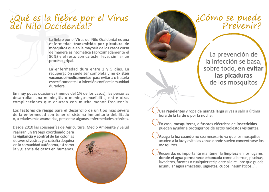 diptico_junta_de_andalucia_protegete_de_la_picadura_de_los_mosquitos_2_0